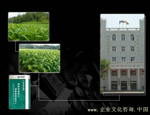 安徽蚌埠烟草公司企业文化及服务品牌